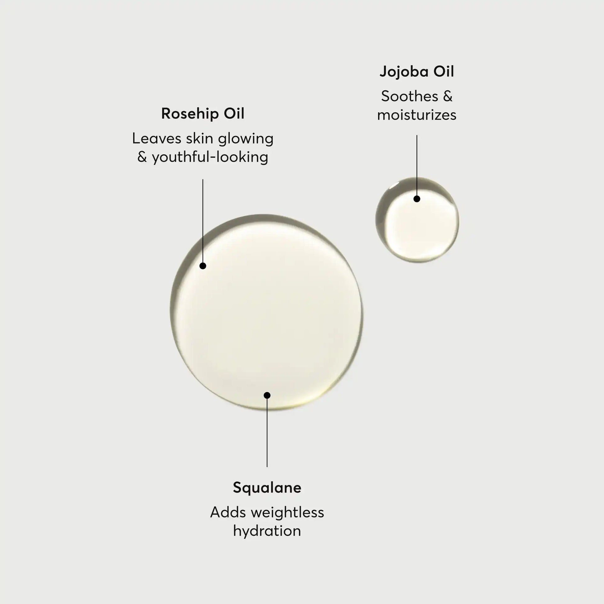 the-glow-getter-body-oil-d3 NATR-10115-Alt-Images-The-Glow-Getter-Body-Oil-01.webp