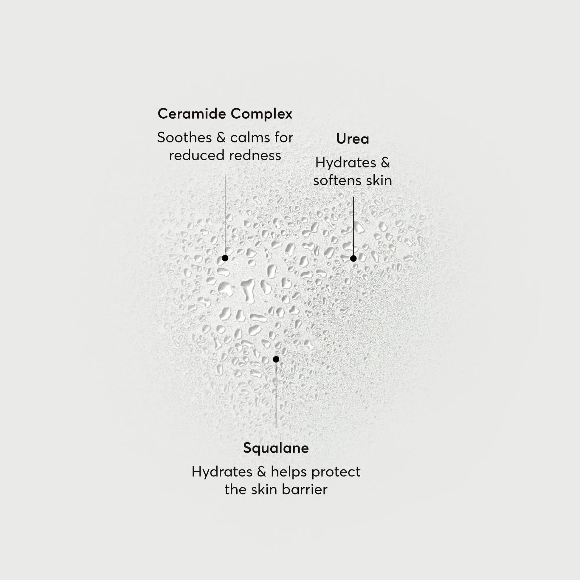 barrier-bounce-bi-phase-mist-b3 NATR-10167-Alt-Images-Barrier-Bounce-Bi-Phase-Toner-Mist_01.webp