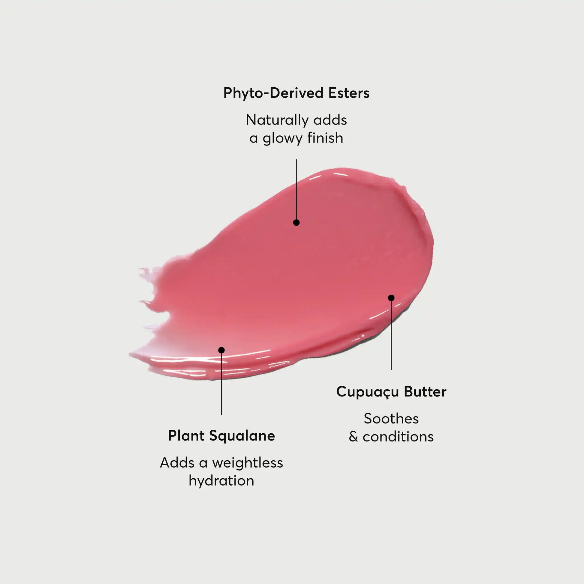 phyto-glow-lip-balm-petal-t5 NATR-60067-Alt-Images-Phyto-Glow-Lip-Balm-Petal-01.webp