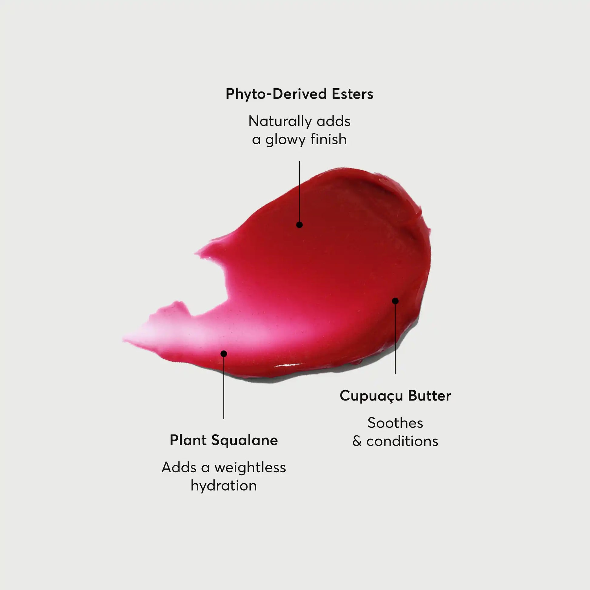 phyto-glow-lip-balm-lychee-v4 NATR-60072-Alt-Images-Phyto-Glow-Lip-Balm-Lychee-01.webp