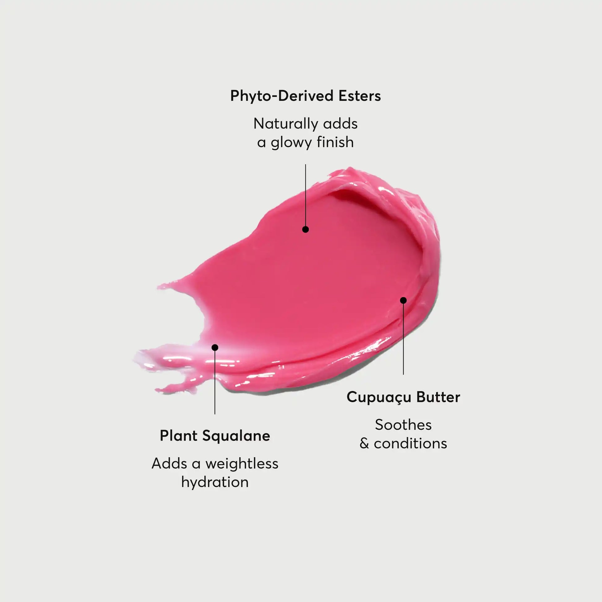 phyto-glow-lip-balm-camellia-h9 NATR-60075-Alt-Images-Phyto-Glow-Lip-Balm-Camellia-01.webp